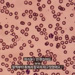 이 <b>와중</b>에 저 괜찮아요 ㅠㅠ❤️ 스토리 올리는거