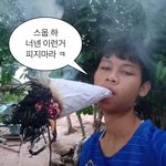 [댓글부탁해] 안타까운 건 안타까운 거고 난 솔직히