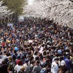[댓글부탁해] 서울에서 불꽃축제나 그런 거 하면
