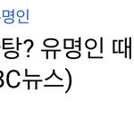 이태원참사 유명인때문아니라고 경찰<b>피</b><b>셜</b>뜸