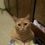 [드루와] 쌍수한 사람 <b>드러</b>와바