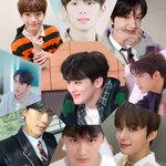 나도 좀 소나무 아님??