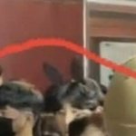 [드루와] <b>가르마펌</b> 토끼머리띠 이 사람 아님?