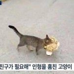 추가++ 친구 없어서 부모님이랑 제일 <b>친한</b> 사람 있나요??