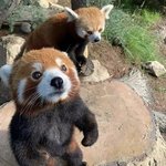 안녕