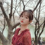 이태원 참사 사망자중 김유나 서울<b>LG</b>,광주KIA 전 치어리더도 포함