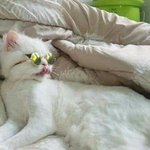 [댓글부탁해] 얘들아 아이패드 꼭 필요해?