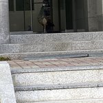 오늘 학교에서 <b>공작</b> 봤음