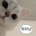 [드루와] 애기 옷 <b>브랜드</b> <b>유명</b>한곳 아는사람 ㅠㅠ