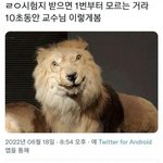 요즘 인스타 스토리 <b>익명질문</b> 있잖아