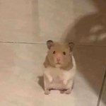 아직 인스타 평화로운데