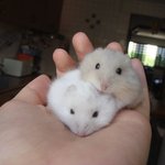 이거 노래 제목 좀 ㅠㅠ