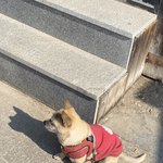 스카이<b>캐슬</b> 보고있는데