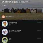 21 <b>포항</b> 여자 공습경보 무서워요ㅠㅠ