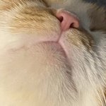 [드루와] 너네 탐나리 아냐