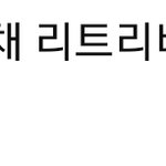 [방탄소년단] <b>남주</b>니 섹시너낌 무대 가사 영상에