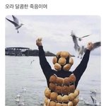 대치동 <b>혼밥</b> 많음??