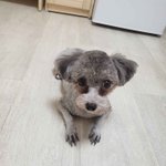 저<b>기엽</b>나요?