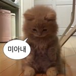 얘드라..<b>정화</b> 좀 하께 벽플에 미안