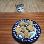 되게되게 귀여운 아기고양이 튼튼이의 가족을 찾고 있어요!