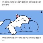 [띄어쓰기] <b>양말</b>입니다 <b>양말</b> 입니다 둘 중 뭐가 맞음?