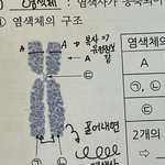 [댓글부탁해] 생명 하는 애들아 이거 알려줘 ㅠㅠ