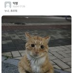 [드루와] 내일 떡코 추반좀
