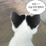 [댓글부탁해] 나 퍼컬 뭐인 것 같음??