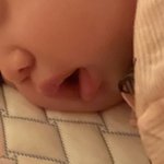 내 <b>사촌</b>동생 개귀엽게 잔다 진짜….