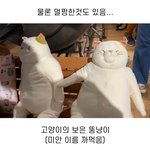 [드루와] 고양이 키우는 애<b>두라</b>