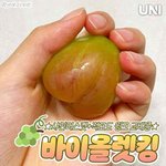 샤인<b>머스켓</b> 이거 실화냐