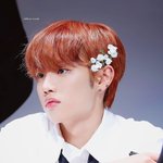 더보이즈 <b>선우</b> 진짜 초코푸들