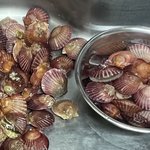 너넨 조개 4kg를 사는 <b>멍청</b>한짓 하지마