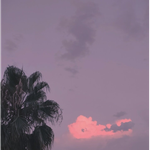 [드루와] 가난한 티 안내는 방법