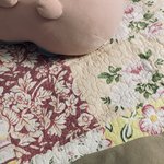 나 나갔다 온 사이에 엄마가 침대보 바꿔놈..