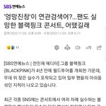 블랙핑크 무대<b>기사</b>쓴게