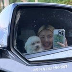 마루 <b>리정</b> 근황