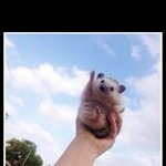 <b>따봉</b>도치야 고마워