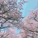 [방탄소년단] <b>준이</b> 안자?