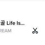 [NCT드림] 오르골 틱톡 주간차트 1위에 일간차트 <b>지표</b>래ㄷㄷ