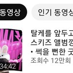 [스키즈] ㅁㅂㅍ 님 vlog