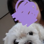 울집 <b>강쥐</b> 넘 귀엽지