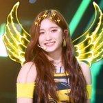 아이브 안죽었다