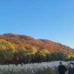 <b>단풍</b>이뿌네