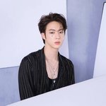 진 특징