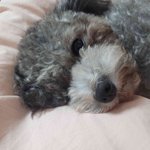 <b>셀카</b>
