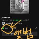 [스키즈] 스밍하지?