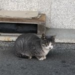기독교<b>집안</b>에서 가톨릭대 가면