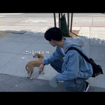 <b>토모</b>토모 이 옷 정보 아는 사람ㅜ