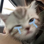 [댓글부탁해] 나 생윤황. 1등급 못받으면 <b>자결</b>